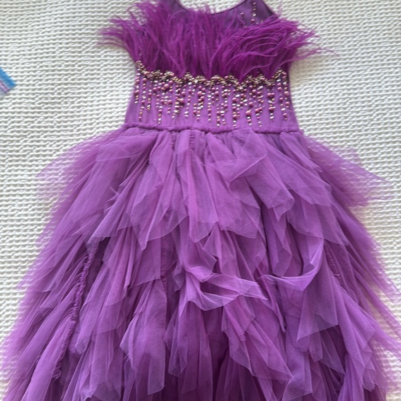 fitted lace wedding dress Celestial Shine Tutu Dress 4/5 / Purple main image 0